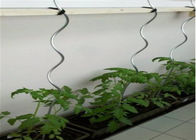 1.5M 체인 연결 담 이음쇠 토마토 Sprial 식물 지원