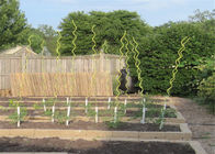 정원을 위한 1.8M 길이 5.5MM 철사 토마토 나선 지팡이